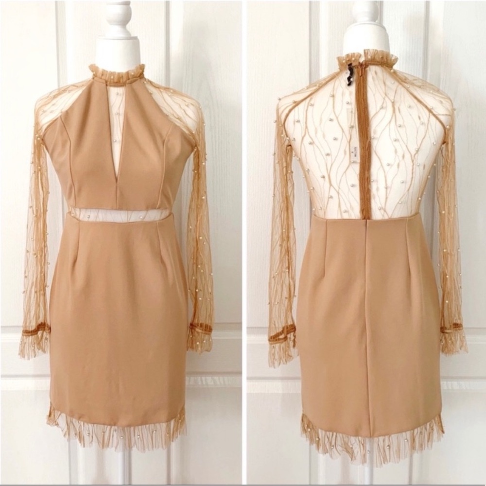 San Joy Pearl Embellished Mesh Dress